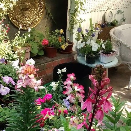 Bed and Breakfast The Terrace Iffley Exterior foto