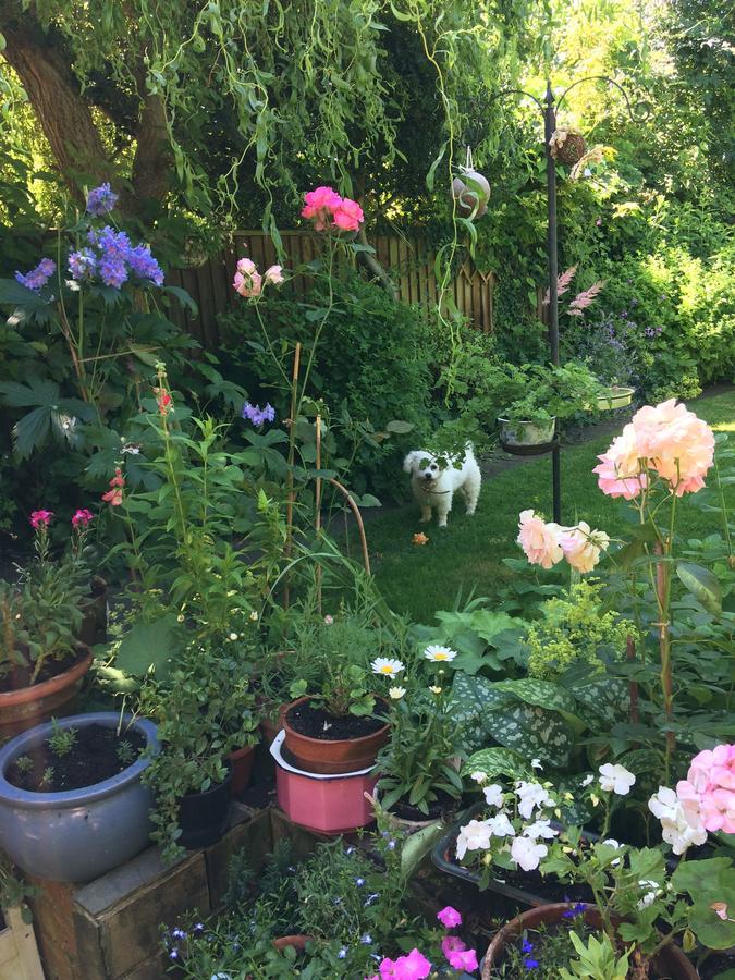 Bed and Breakfast The Terrace Iffley Exterior foto